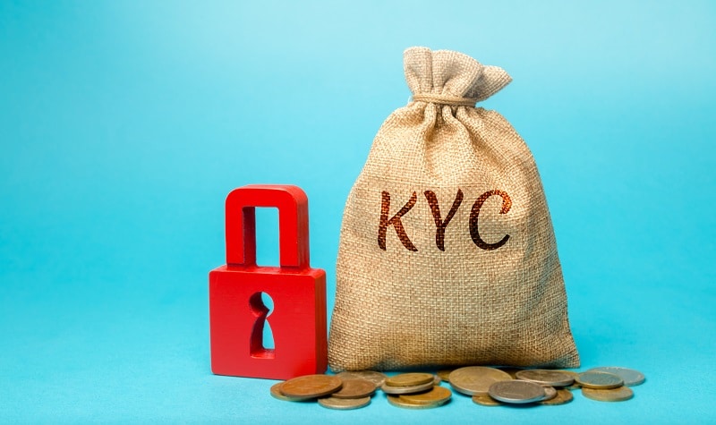 Read more about the article Fraud Management and Control